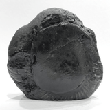 Shree Balaji Carved Shaligram - 503 Grams - Himalaya Rudraksha Anusandhan Kendra