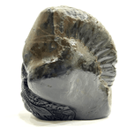 Shree Krishna Carved Shaligram - 675 Grams - Himalaya Rudraksha Anusandhan Kendra