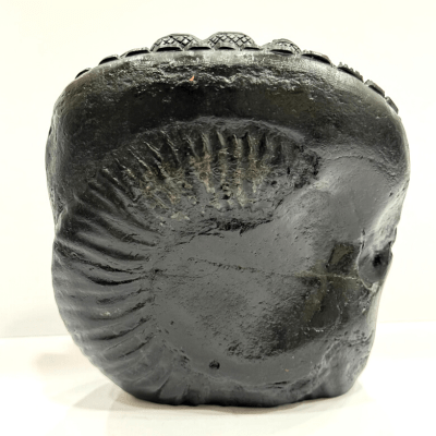 Shree Ram Darbar Carved Shaligram - 528 grams - Himalaya Rudraksha Anusandhan Kendra