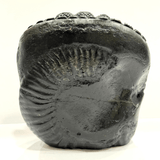 Shree Ram Darbar Carved Shaligram - 528 grams - Himalaya Rudraksha Anusandhan Kendra