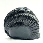 Siya Ram Carved Shaligram - 464 Grams - Himalaya Rudraksha Anusandhan Kendra
