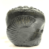 Vishnu Carved Shaligram - 435 grams - Himalaya Rudraksha Anusandhan Kendra