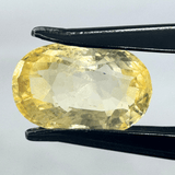 Yellow Sapphire (Pukhraj - 5.95 cts) - Ceylonese (Super Premium) - Himalaya Rudraksha Anusandhan Kendra