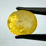 Yellow Sapphire (Pukhraj - 6.70 cts) - Ceylonese - Himalaya Rudraksha Anusandhan Kendra