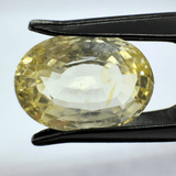Yellow Sapphire (Pukhraj - 7.00 cts) - Ceylonese (Super Premium) - Himalaya Rudraksha Anusandhan Kendra