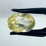 Yellow Sapphire (Pukhraj - 7.90 cts) - Ceylonese (Super Premium) - Himalaya Rudraksha Anusandhan Kendra