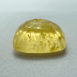 Yellow Sapphire (Pukhraj - 8.80 cts) - Ceylonese - Himalaya Rudraksha Anusandhan Kendra