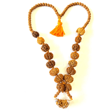 1 - 14 Mukhi Rudraksha Mala ( In Thread) - Himalaya Rudraksha Anusandhan Kendra