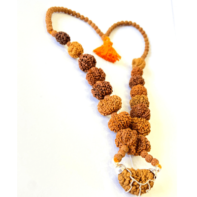 1 - 14 Mukhi Rudraksha Mala ( In Thread) - Himalaya Rudraksha Anusandhan Kendra