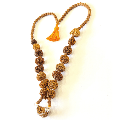 1 - 14 Mukhi Rudraksha Mala ( In Thread) - Himalaya Rudraksha Anusandhan Kendra