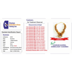 1 - 14 Mukhi Rudraksha Mala ( In Thread) - Himalaya Rudraksha Anusandhan Kendra