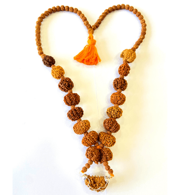 1 - 14 Mukhi Rudraksha Mala ( In Thread) - Himalaya Rudraksha Anusandhan Kendra