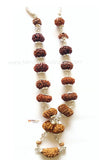 1 - 14 Mukhi Rudraksha Mala (Nepal Origin - Collector Beads) - Himalaya Rudraksha Anusandhan Kendra