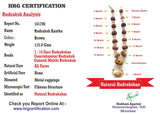 1 - 14 Mukhi Rudraksha Mala (Nepal Origin - Collector Beads) - Himalaya Rudraksha Anusandhan Kendra