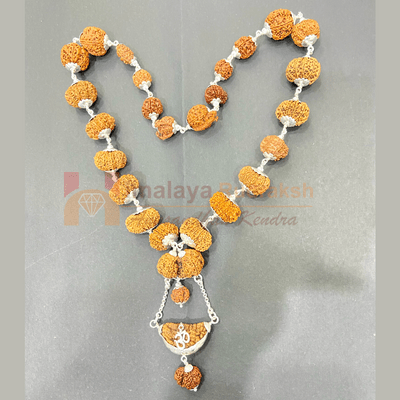 1 - 17 Mukhi Sarva Sampurna Rudraksha Mala (Nepal Origin - Collector Beads) - Himalaya Rudraksha Anusandhan Kendra