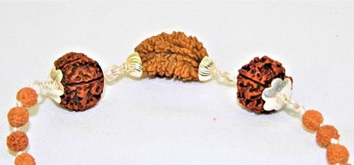 1 Mukhi Rudraksha Kawach - Himalaya Rudraksha Anusandhan Kendra