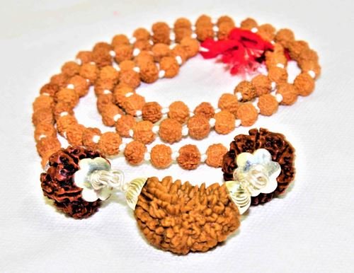1 Mukhi Rudraksha Kawach - Himalaya Rudraksha Anusandhan Kendra