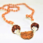 1 Mukhi Rudraksha Kawach - Himalaya Rudraksha Anusandhan Kendra