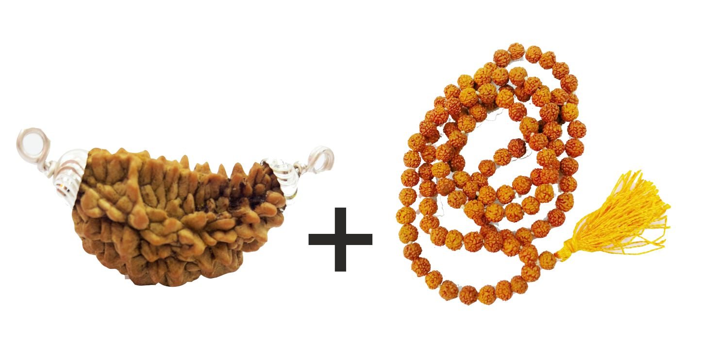 1 Mukhi Rudraksha Mala - Himalaya Rudraksha Anusandhan Kendra