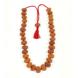 10 Mukhi Rudraksha Kantha (Nepal Origin) - Himalaya Rudraksha Anusandhan Kendra