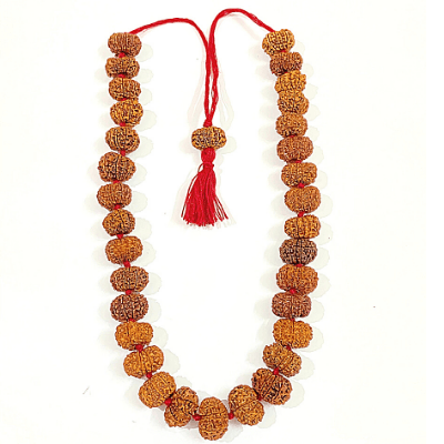 11 Mukhi Rudraksha Kantha (Nepal Origin) - Himalaya Rudraksha Anusandhan Kendra