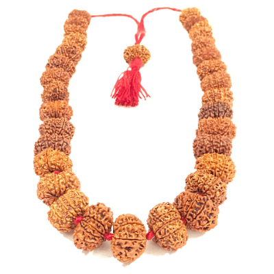 11 Mukhi Rudraksha Kantha (Nepal Origin) - Himalaya Rudraksha Anusandhan Kendra