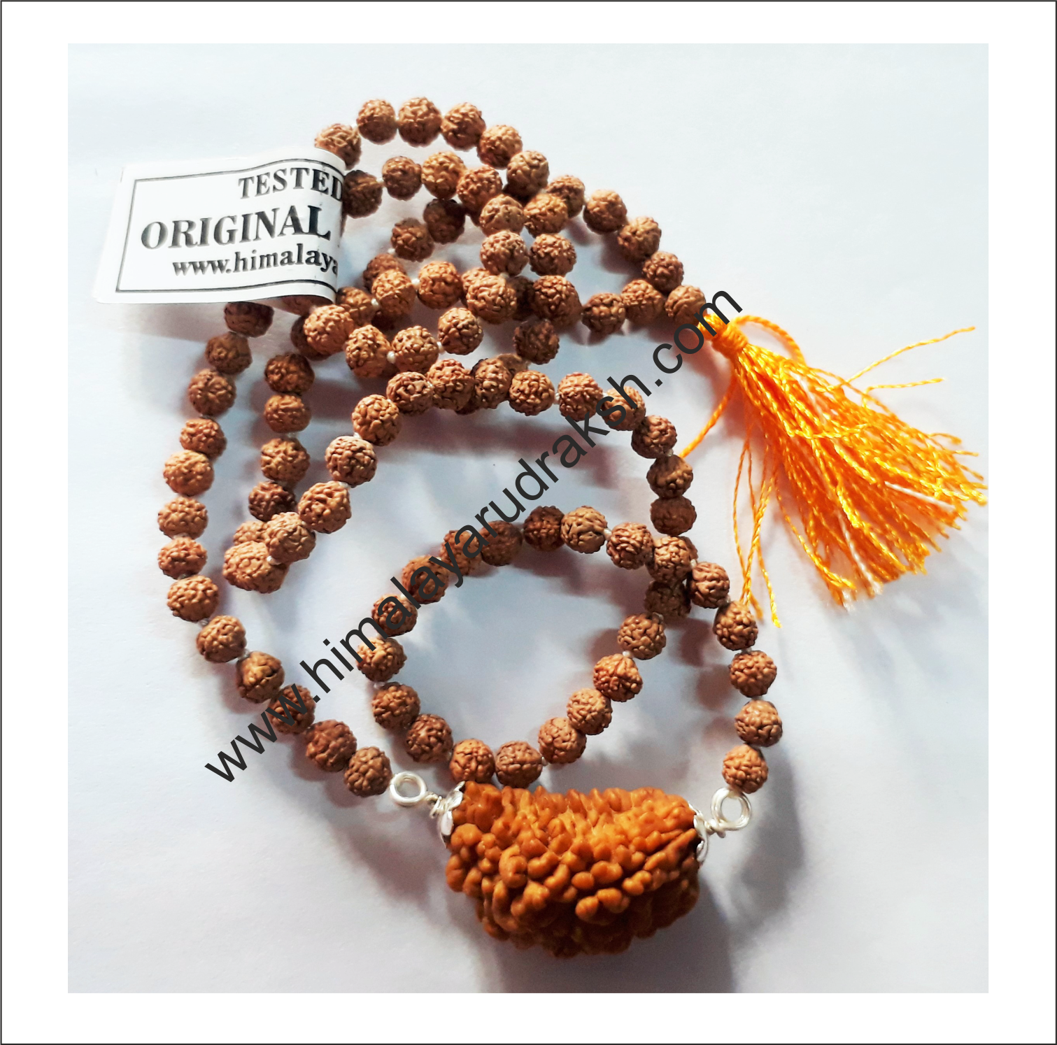 1 Mukhi Rudraksha Bracelet at best price in New Delhi by AM Vaasiti Exports  Private Limited | ID: 14095830962