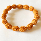 3 Mukhi Rudraksha Bracelet - Himalaya Rudraksha Anusandhan Kendra