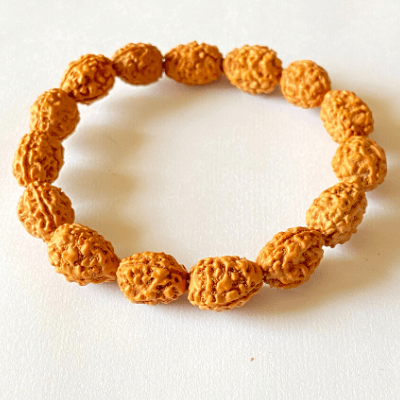 3 Mukhi Rudraksha Bracelet - Himalaya Rudraksha Anusandhan Kendra