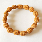 3 Mukhi Rudraksha Bracelet - Himalaya Rudraksha Anusandhan Kendra
