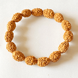 3 Mukhi Rudraksha Bracelet - Himalaya Rudraksha Anusandhan Kendra