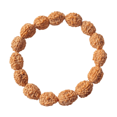 4 Mukhi Rudraksha Bracelet - Himalaya Rudraksha Anusandhan Kendra
