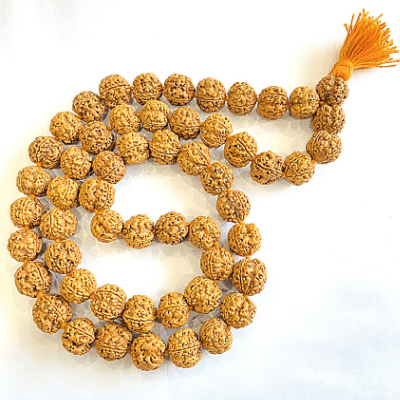 4 Mukhi Rudraksha Kantha - Nepali - Himalaya Rudraksha Anusandhan Kendra