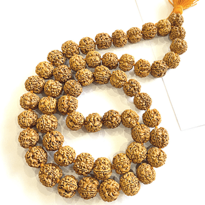 4 Mukhi Rudraksha Kantha - Nepali - Himalaya Rudraksha Anusandhan Kendra