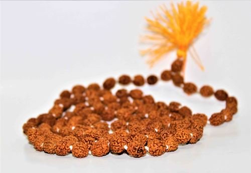 4 Mukhi Rudraksha Mala - Himalaya Rudraksha Anusandhan Kendra