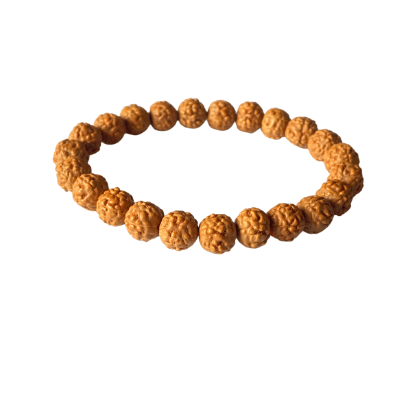 5 Face Rudraksh Bracelet - Himalaya Rudraksha Anusandhan Kendra