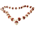 5 Mukhi/Face Rudraksha Kantha In Silver - Himalaya Rudraksha Anusandhan Kendra