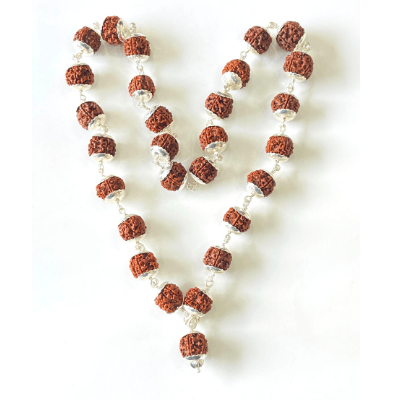 5 Mukhi/Face Rudraksha Kantha In Silver - Himalaya Rudraksha Anusandhan Kendra