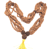 5 Mukhi/Face Rudraksha mala (1008+1 beads) - Himalaya Rudraksha Anusandhan Kendra