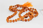 5 Mukhi/Face Rudraksha Mala - Himalaya Rudraksha Anusandhan Kendra