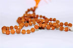 5 Mukhi/Face Rudraksha Mala - Himalaya Rudraksha Anusandhan Kendra