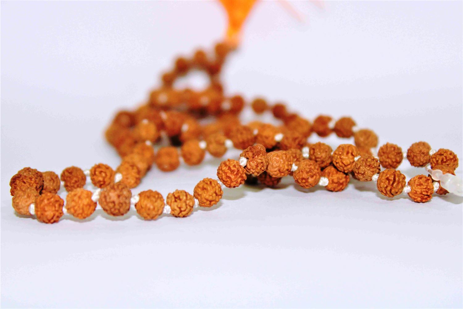 5 Mukhi/Face Rudraksha Mala - Himalaya Rudraksha Anusandhan Kendra