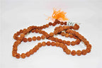 5 Mukhi/Face Rudraksha Mala - Himalaya Rudraksha Anusandhan Kendra