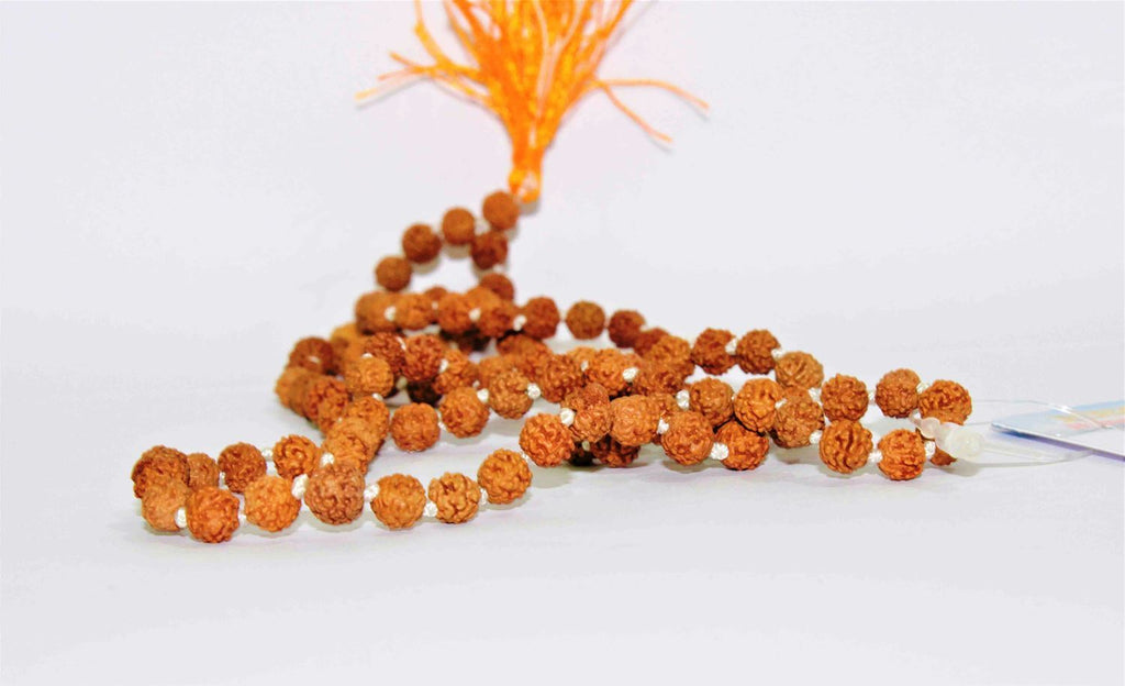 5 Mukhi/Face Rudraksha Mala - Himalaya Rudraksha Anusandhan Kendra