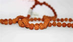 5 Mukhi/Face Rudraksha Mala - Himalaya Rudraksha Anusandhan Kendra