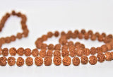 5 Mukhi/Face Rudraksha Mala (Pathri Mala) - Himalaya Rudraksha Anusandhan Kendra