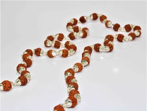 5 Mukhi/Face Rudraksha Silver Chain (54+1 beads) - Himalaya Rudraksha Anusandhan Kendra