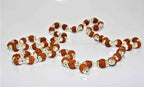 5 Mukhi/Face Rudraksha Silver Chain (54+1 beads) - Himalaya Rudraksha Anusandhan Kendra