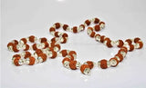 5 Mukhi/Face Rudraksha Silver Chain (54+1 beads) - Himalaya Rudraksha Anusandhan Kendra