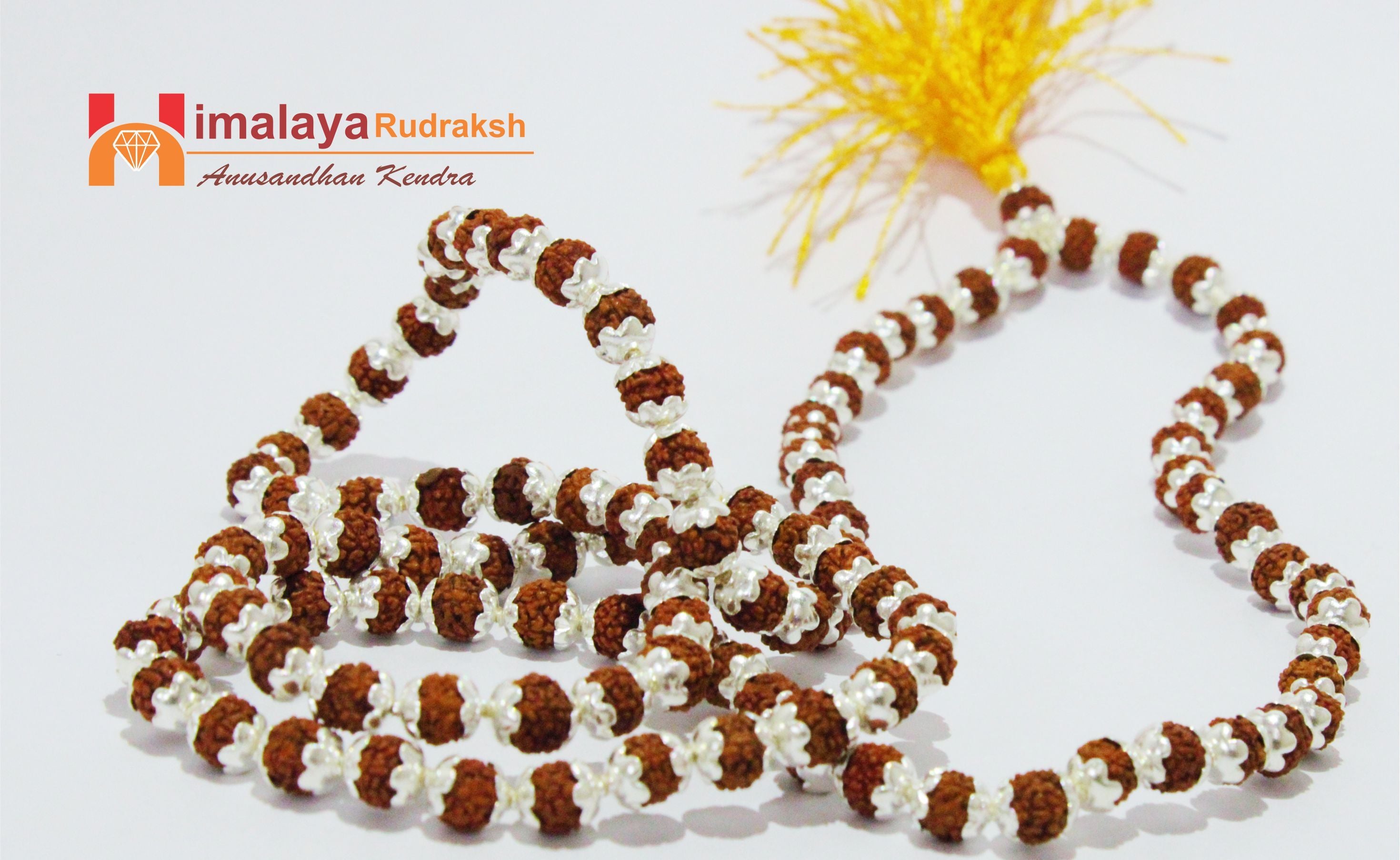 5 Mukhi Rudraksha Mala In Silver - himalaya rudraksha anusandhan kendra
